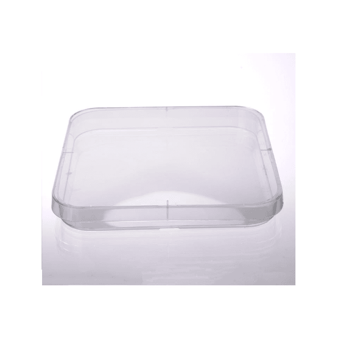 Scientific Laboratory Supplies SLS Select Petri Dish 120mm Square Four Vents